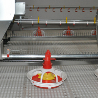 Meilleur équipement complet pour ferme avicole Projet de ligne d'alimentation pour volaille Système d'élevage automatique de poulets de chair