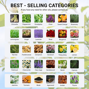 Huile essentielle absolue de fleur de jasmin biologique Vente en gros Distillation à la vapeur Fleur de jasmin Huile essentielle de massage pour le soin de la peau - Product Image 6