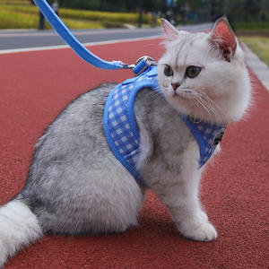 Ekose evcil hayvan koşumu tasma set-köpek kedi açık yürüyüş yelek, köpekler kediler için yavru aksesuarları - Product Image 1