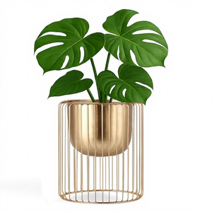 Soporte Moderno para Plantas de Metal Dorado con Base de Jaula de Alambre para Decoración Interior del Hogar - Product Image 3