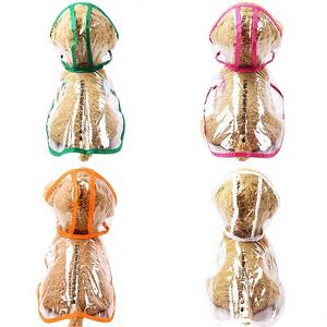 Impermeable Transparente para Perros Pequeños - Product Image 1