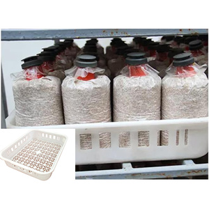 Alta calidad el cultivo de hongos bandejas de plástico granja <span class=keywords><strong>cesta</strong></span> - Product Image 4