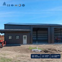Edificio de Almacenamiento de Acero, Almacén de Gran Altura, Diseño Personalizado de Estanterías para Paletas, Instalación Logística Industrial
