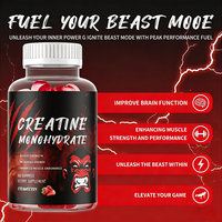 Gomitas de Creatina Monohidrato 5000mg, 120 Unidades, Veganas, Sabor a Arándano, Forma Cuadrada, Crecimiento Muscular para Adultos, OEM, ODM, HALAL