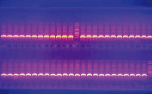 Instrument de PCR de laboratoire à gradient de température XX-96E : Fiabilité et Qualité - Product Image 6