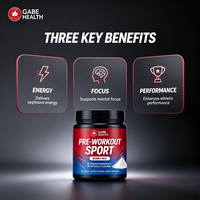 Poudre Pré-Entraînement en Gros Ingrédients Premium Mélange de Baies Naturelles 225g 90 unités Énergie Performance pour Athlètes de Gym OEM