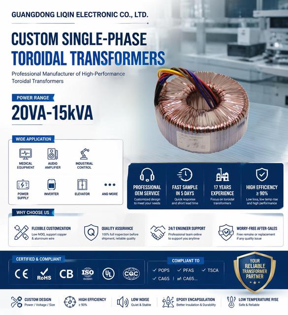 Professional Audio HiFi Amplifier Single Phase Toroidal Transformer 220V230V Pure Copper Low Noise Ring Core 1000VA Power Supply