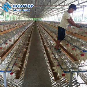 Direto fabricante gamefowl dome pen frango gaiola à venda