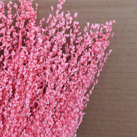 Fleur préservée cent matériaux de fleurs de pointe pour les arrangements floraux et les décorations de maison de bouquet plantes séchées noël