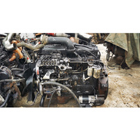 Genuine B-mw 6L 900kg 6 Cylinder Diesel High Quality New Marine Engine OE NO. 51717123311 No Warranty for Sale