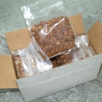 Hojuelas de Cebolla Frita Crujiente Seca Halal Sin Aditivos, Envasadas al Vacío, Productos Listos para Tiendas de Comida Halal en Indonesia