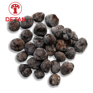 Detan, trufa negra congelada de alta calidad a bajo precio, Frozen <span class=keywords><strong>melanosporum</strong></span> - Product Image 1