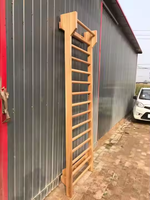 Bar Dinding Kayu Senam, Bar Dinding Kayu Ganda, Peralatan Senam untuk Dijual, Tangga Anak