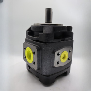 Nouvelles pompes hydrauliques série LXPG1H LXPG2H LXPG1H-LX1/016RF1A0036 LXPG2H-LX1/063RF2A0079 Pompe à engrenages interne - Product Image 5