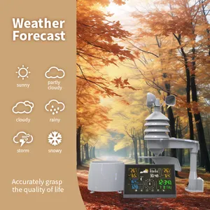 Mulitiple Purpose Professional Wireless Color Display Weather Station