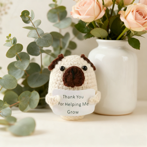 צעצוע כיס סרוג בעבודת יד - צפרדע/פאג חמודים ממולאים בכרטיס עם מסר חיובי, צעצוע קטיפה לעיצוב הבית, מתנה לילדים/מבוגרים - Product Image 5