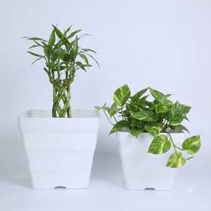 Pot de fleurs carré en plastique, grande taille 29 cm, en PP, design côtelé ondulé avec fente de drainage, directement de l'usine - Product Image 1