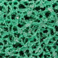 Disque à bande vert en carbure de silicium REX 125 mm x 22 mm, disque de ponçage poly pour l'élimination de la peinture et de la rouille sur le métal, ISO9001