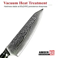 Ensemble de couteaux de cuisine professionnels en acier Damas 8 pièces, noyau en acier VG 10, 67 couches, avec manche en G10 noir