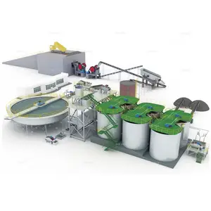 Zimbabwe 10-100 tpd Capacity CIP Mining Equipment CIL Processing Reagent Gold Leaching Plant