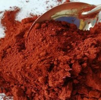 Bubuk Oksida Besi Fe2O3 Merah Pigmen Pelapis Anorganik Merek Hyrox 25kg/karung dengan Harga Kompetitif untuk Cat/Beton/Bata