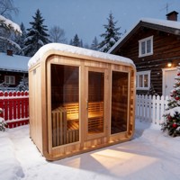 Mini sauna familial avec poêle électrique 3 kW, vapeur humide, pour appartement, panneau de commande intelligent, en bois de sapin Hemlock