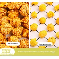Huile de palme et de noix de coco HALAL 15L pour machines à popcorn de cinéma et de salles de cinéma, fournisseur en gros