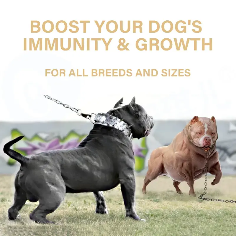 高品質のペットサプリメントプライベートラベルは免疫システムを強化します犬のサプリメントマッスルサプリメント