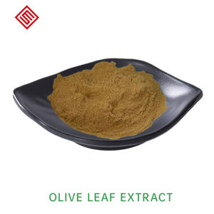 Extrait de feuille d'olivier |   Oleuropeine 20%~60% Hydroxytyrosol 20%~98% Antioxydant et soutien cardiovasculaire Extrait en vrac personnalisable - Product Image 2