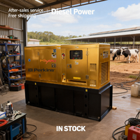 Générateur diesel silencieux de type fermé, étanche à la pluie et à faible bruit, pour usage extérieur, 30 kV, 50 kW, 80 kVA, 100 kVA, 200 kVA, 300 kVA, 500 kVA