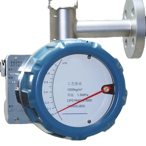 Nouveau débitmètre à flotteur à tube métallique Chine FE/Extrême-Orient série FEF3000 FEF3000-2R0DN25M4C DN25 Débitmètre à tube métallique - Product Image 1