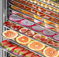 Hete Aanbieding 8/12/16 Tray Touchscreen Voedseldroger Commerciële Tijdgestuurde Versie Fruitdroogmachine met Ozonfunctie