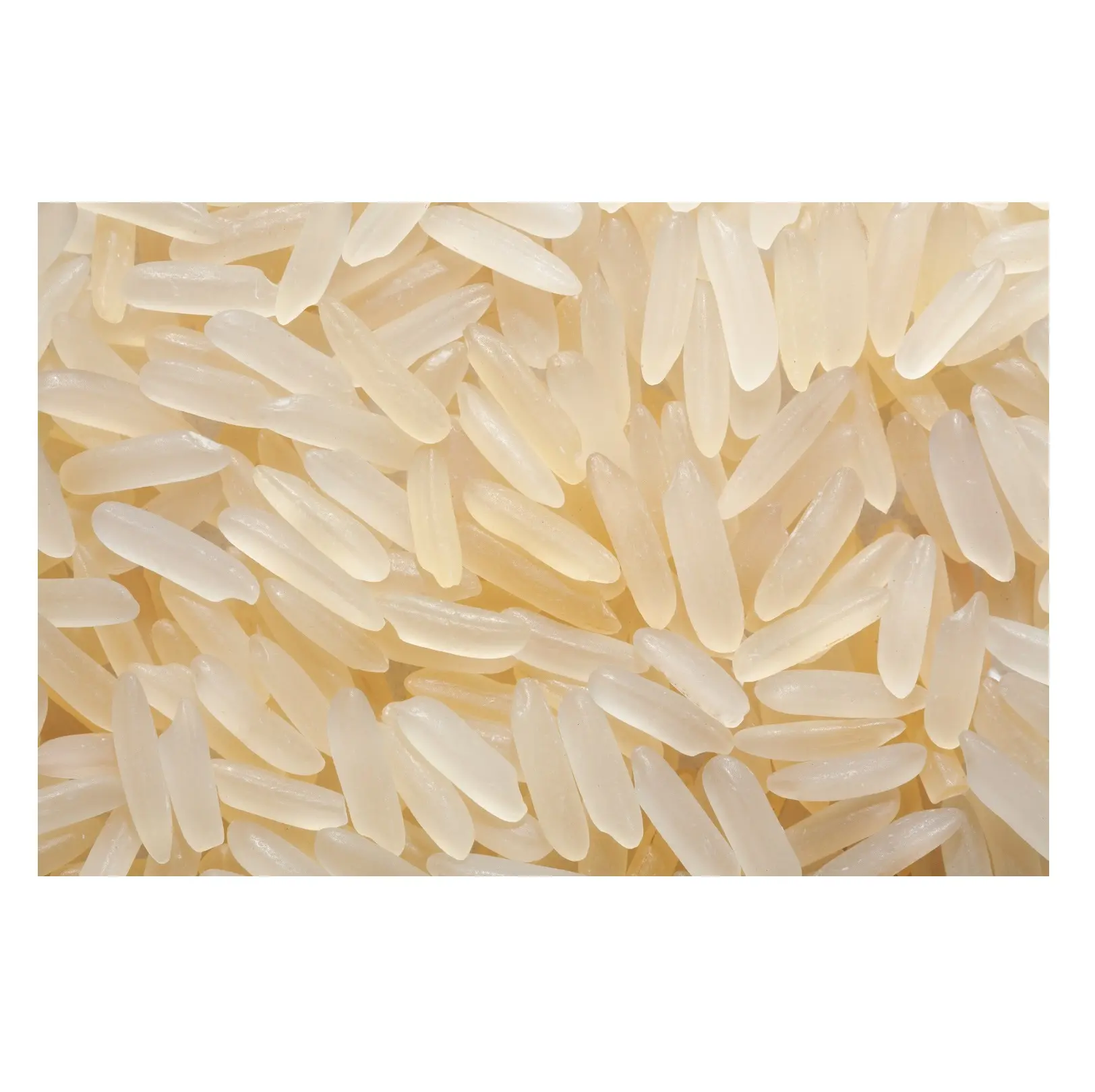 Premium Export Quality Supplier Long Grain Parboiled Non Basmati Rice from Indian Manufacturer for Export