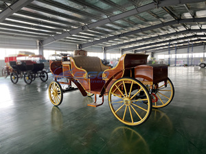 Calèche Électrique en Bois Confortable et Élégante pour 6 à 10 Personnes, Vitesse de 30 km/h, Expérience Touristique Inoubliable - Product Image 4