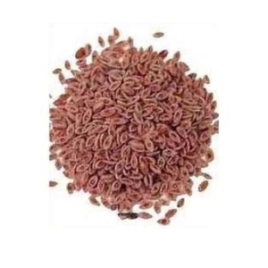 Isabgol Beej Seed Food Semillas de hierbas de la India Silymarin Bag Botella Can Drum 1kg - Product Image 1
