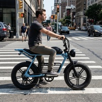 Vélo électrique abordable de haute qualité avec écran LCD, vélo électrique Scrambler à pneus larges pour les navetteurs soucieux de leur budget