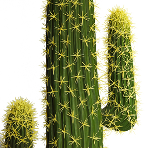 Pianta di <span class=keywords><strong>Cactus</strong></span> Artificiale di Alta Qualità, Grandi <span class=keywords><strong>Piante</strong></span> Succulente Decorative, <span class=keywords><strong>Fiori</strong></span> di <span class=keywords><strong>Cactus</strong></span> Artificiali all'Ingrosso <span class=keywords><strong>con</strong></span> Vaso - Product Image 5