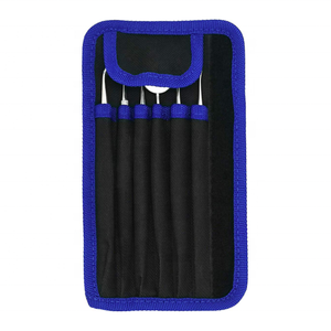 Kit de higiene Dental profesional, de acero inoxidable quirúrgico de gran calidad, 6 piezas, incluye espejo para los dientes - Product Image 1