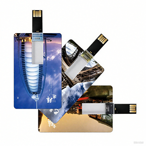 Biểu tượng tùy chỉnh giá rẻ <span class=keywords><strong>USB</strong></span> Pendrive thẻ 128MB đến 128GB Ổ Đĩa Bút <span class=keywords><strong>USB</strong></span> Stick thẻ tín dụng <span class=keywords><strong>3.0</strong></span> Loại C Khuyến mại thẻ <span class=keywords><strong>USB</strong></span> <span class=keywords><strong>Flash</strong></span> <span class=keywords><strong>Drive</strong></span> - Product Image 1