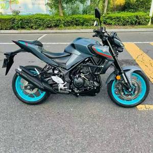 High-Performance 321cc Water-Cooled Four-Stroke DOHC Four-Valve Inline-Twin Engine Sportbike for City and Highway Riding - Product Image 6