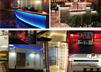 Lampu Neon LED 24V 5050 RGB 60LED/M UCS1903 Lampu Panggung LED Pengubah Warna untuk Klub Malam