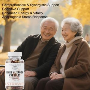 Капсулы Astrawell с комплексом грибов OEM: веганская добавка с рейши, кордицепсом, чагой, шиитаке и львиной гривой - Product Image 3