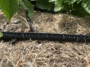 Drip Slow Leakage Flat <span class=keywords><strong>Soaker</strong></span> Mangueiras Água 25 pés 50 pés Armazenamento Saving Sprinkler Mangueira Jardim Irrigação Mangueira - Product Image 4