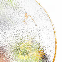 Assiettes de présentation en verre texturées à bord doré, idéales pour les mariages et les réceptions – Nouveauté très prisée