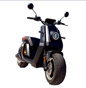 Batería de 60V 12Ah 20Ah 30Ah 40Ah 55Ah, Motor de 2000-3000W, Neumáticos Anchos, EEC COC - Product Image 1