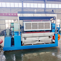 Nouvelle machine à fabriquer des barquettes à œufs personnalisées pour les entreprises en démarrage, machine automatique de formage de barquettes à œufs