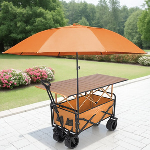 Carrito de Playa Plegable con Silla, Sombrilla, Mesa y Mango Telescópico - Product Image 1