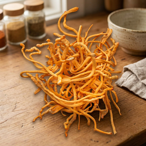 Extracto de Cordyceps Orgánico de Grado Alimenticio Premium para la Fabricación de Suplementos - Product Image 3