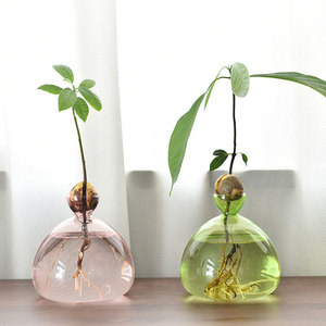 Jardín hogar Oficina Decoración <span class=keywords><strong>brote</strong></span> planta hidropónica terrario macetas colgantes de pared Estación de propagación de vidrio - Product Image 2