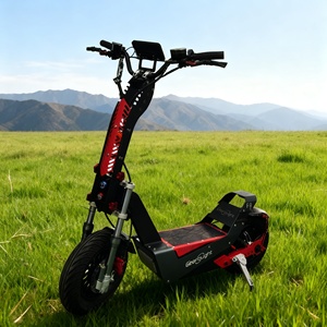 Scooter Eléctrico Geofought de 72V para Adultos, Plegable, Todoterreno, con Neumáticos de Vacío de 16 Pulgadas, Batería Grande de 30-60Ah, Largo Alcance - Product Image 1